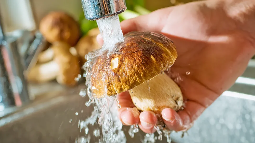 To je napgostejša napaka, ki uniči okus jurčkov