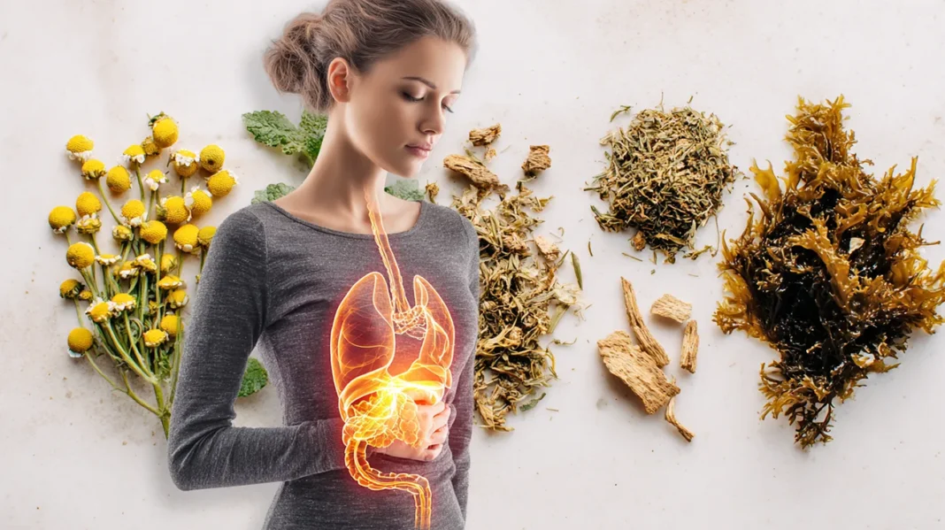 Naravne rešitve za težave z želodčno kislino