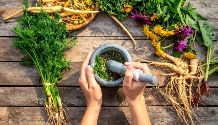 Okrepite odpornost z zeliščnimi koreninami