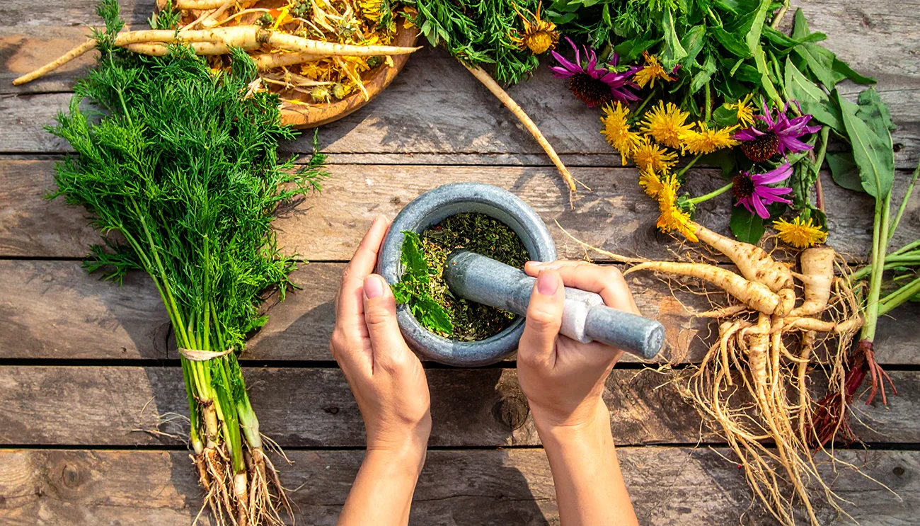 Okrepite odpornost z zeliščnimi koreninami: Pozabljeni deli rastlin z vrta razkrivajo svojo moč
