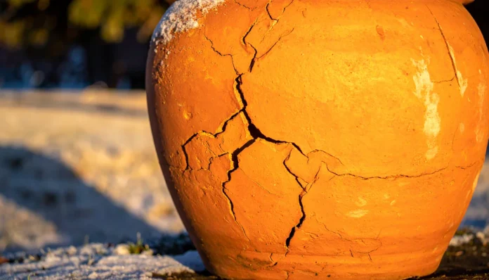 Tako zaščitite zunanje cvetlične lonce pred zimo Tako zaščitite zunanje cvetlične lonce pred zimo