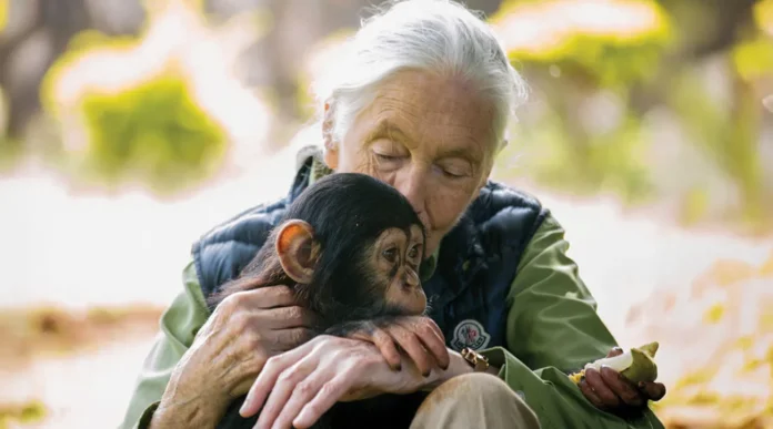 V starosti 91 let je umrla Jane Goodall