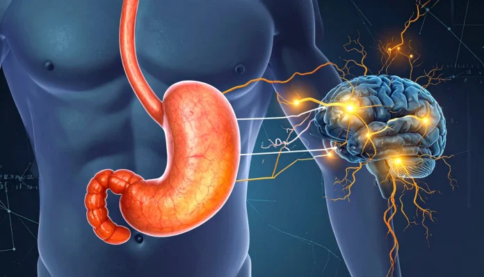 Zakaj nas skrbi udarijo v želodec Zakaj nas skrbi udarijo v želodec