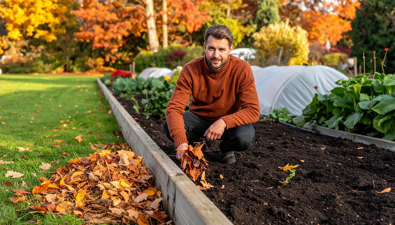 7 vrtnarskih napak novembra, ki vas bodo spomladi stale lepega vrta