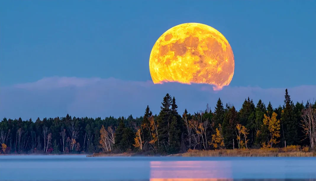 Bobrova luna 2025 bo hkrati superluna