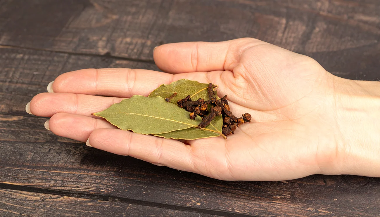 Lovorjevi listi in klinčki: Preprosta mešanica z močnim učinkom za dom in zdravje