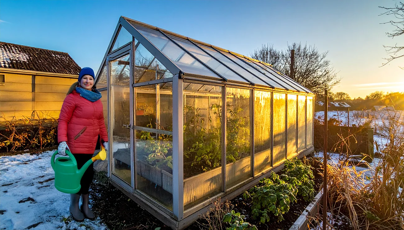 To je najpogostejša napaka pri postavljanju rastlinjaka, ki lahko uniči vašo zimsko zelenjavo