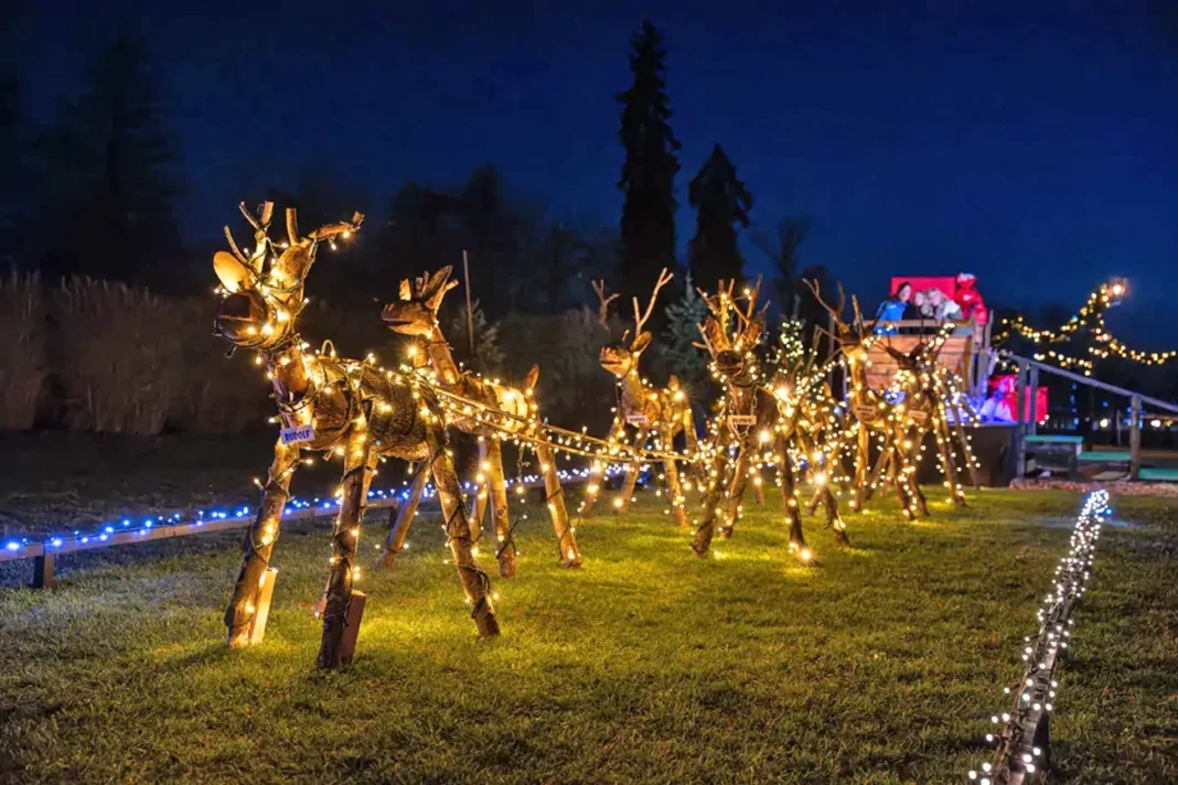 Vecerni sprehod med luckami Arboretum Volcji Potok