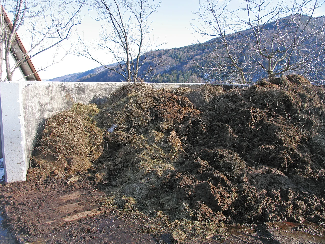 Gnojenje s hlevskim gnojem