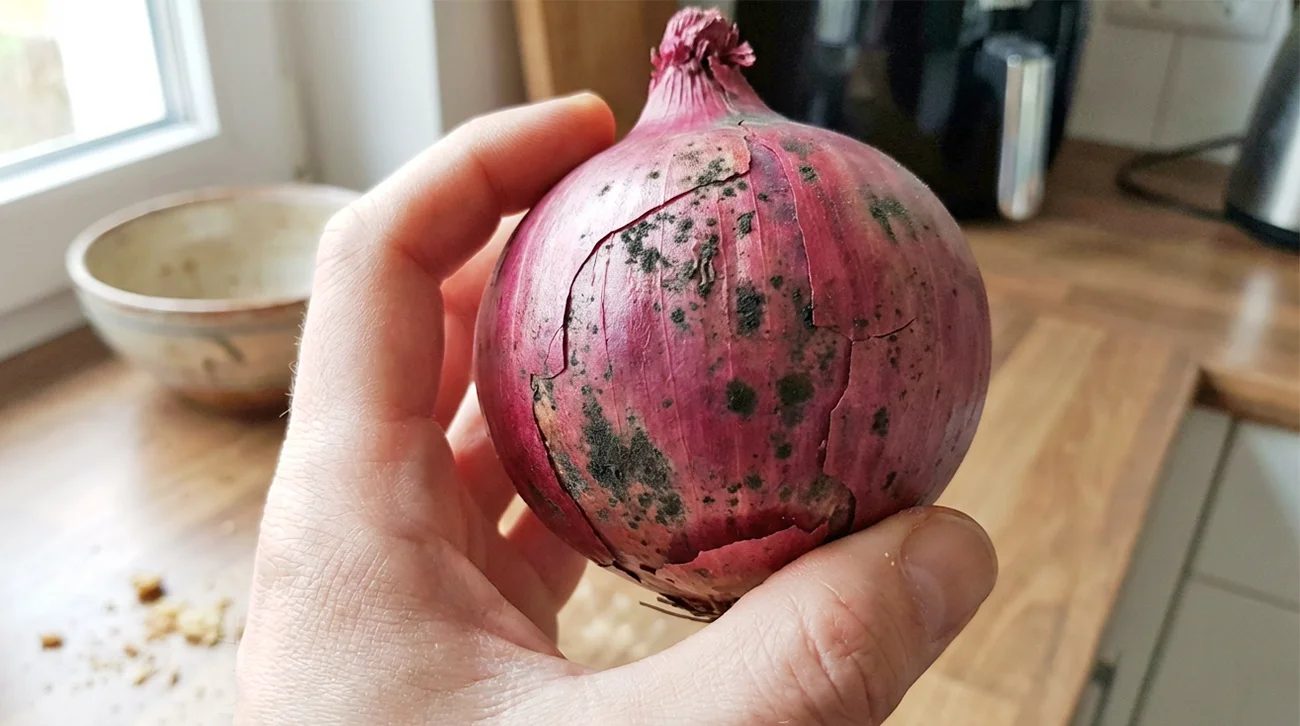 Mnogi domači kuharji naredijo to napako: Kaj so v resnici črne pike na čebuli (in ni zemlja)