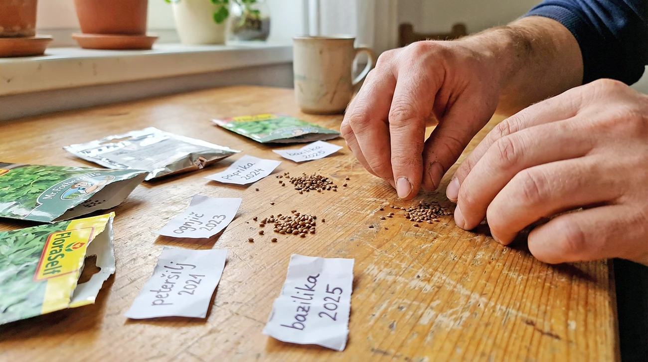 Koliko časa je seme še uporabno in zakaj se to splača preveriti še pred novo sezono