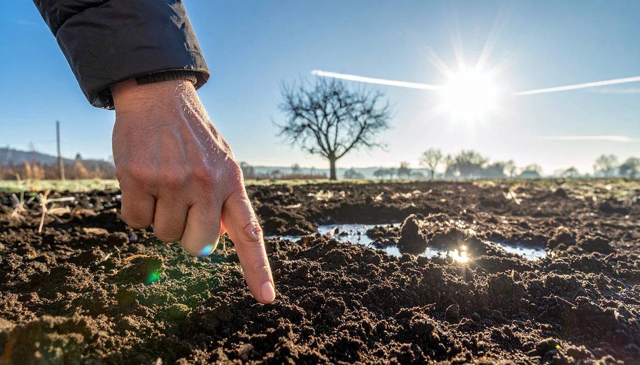 To pozimi na vrtu opazijo le izkušeni vrtnarji – in spomladi jim pride zelo prav