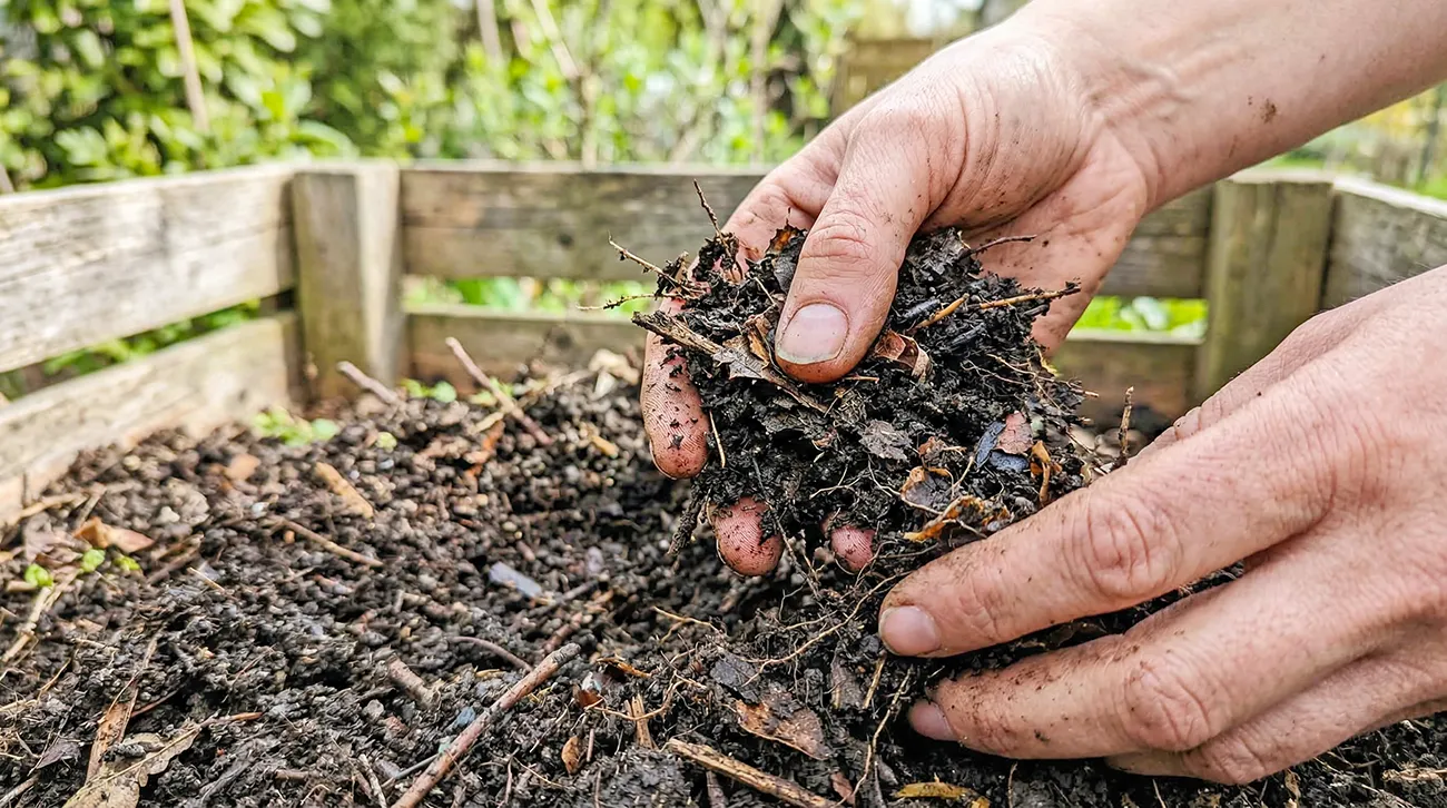 10 vrtnih opravil v marcu, ki lahko odločijo o uspehu celotne sezone