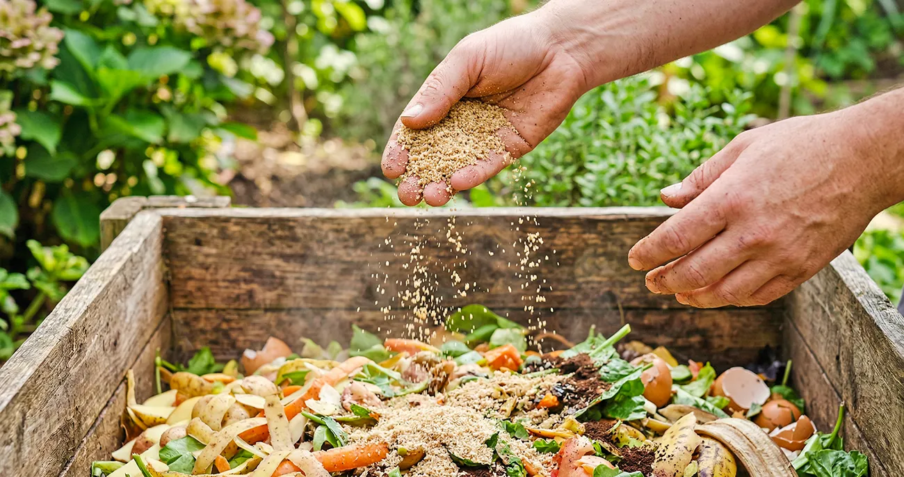 Kako narediti domači fermentirani bokashi posip: Trik za hitrejšo razgradnjo komposta