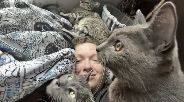 Po nakljucju sta kupila hiso v kateri je zivelo 43 mack Kupila sta sanjsko hiÅ¡o, a ko sta odprla vrata, ju je v njej Äakalo 43 maÄk