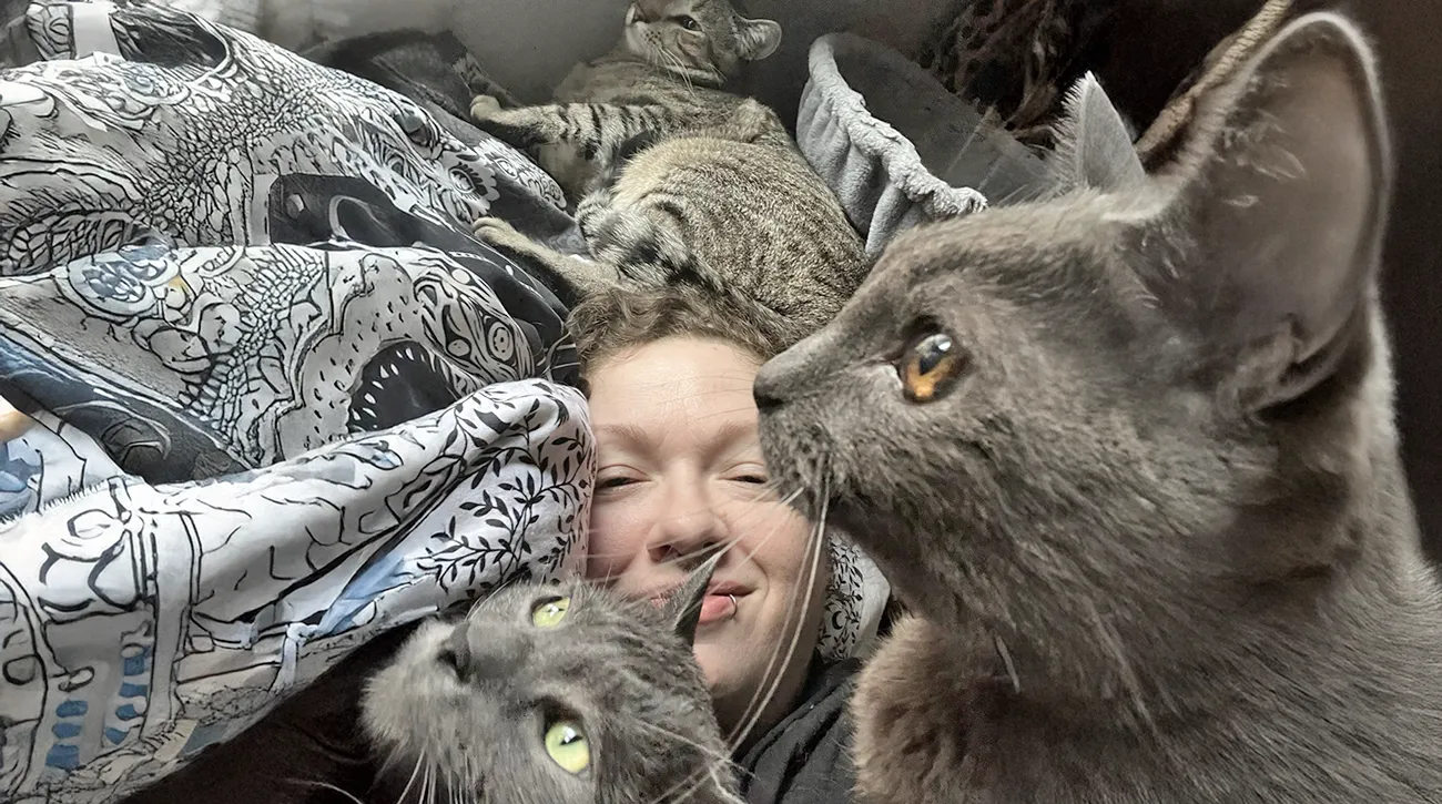 Kupila sta sanjsko hišo, a ko sta odprla vrata, ju je v njej čakalo 43 mačk