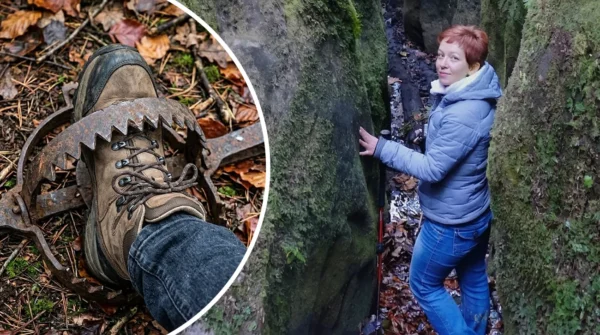 Tri ure je bila ujeta v medvedji pasti1 Izlet se je spremenil v pravo nočno moro: Tri ure je bila ujeta v medvedji pasti