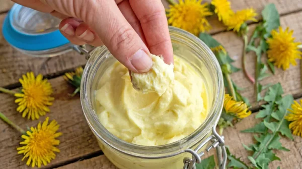 Vlazilna krema s stepenim regratom in kokosovim oljem Vlažilna regratova ‘smetana’: Preprost naravni pripravek za mehko kožo