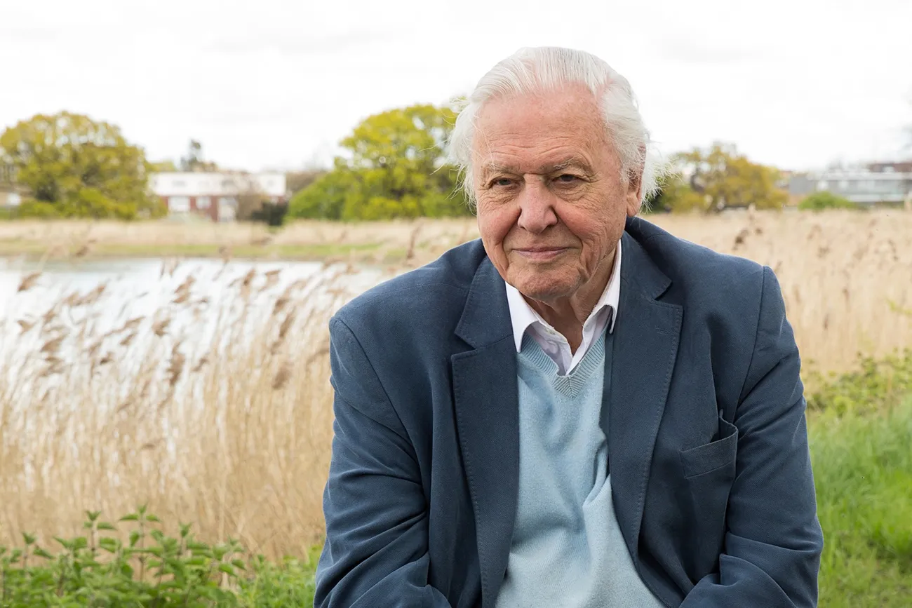 David Attenborough praznuje 100 let in še vedno rešuje planet