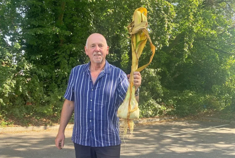 Česen z drugega planeta: Britanec je vzgojil orjaka, ki tehta skoraj dva kilograma