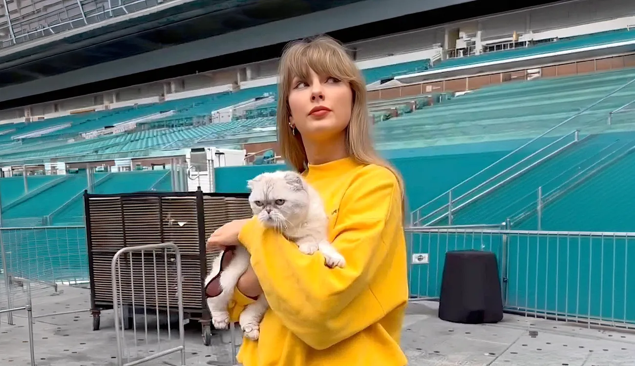 Mednarodni dan mačk: zakaj jih Taylor Swift, Drew Barrymore in druge zvezde tako obožujejo?