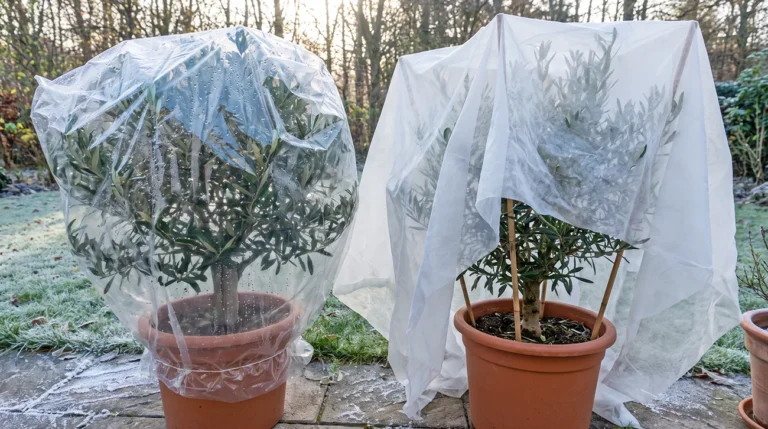 Pred prvo slano rastlin ne ovijajte kar v plastično folijo: Lahko jim naredite več škode kot koristi